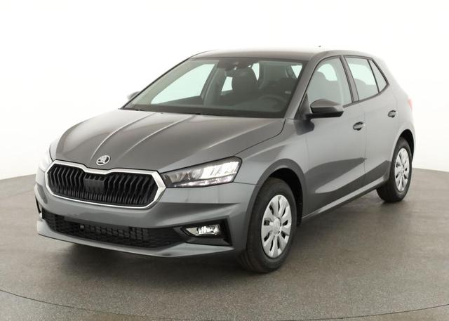 Skoda Fabia - Selection 1.0 TSI Selection, Ladeboden, Park, Winterpaket, SmartLink, 4 J.-Garantie