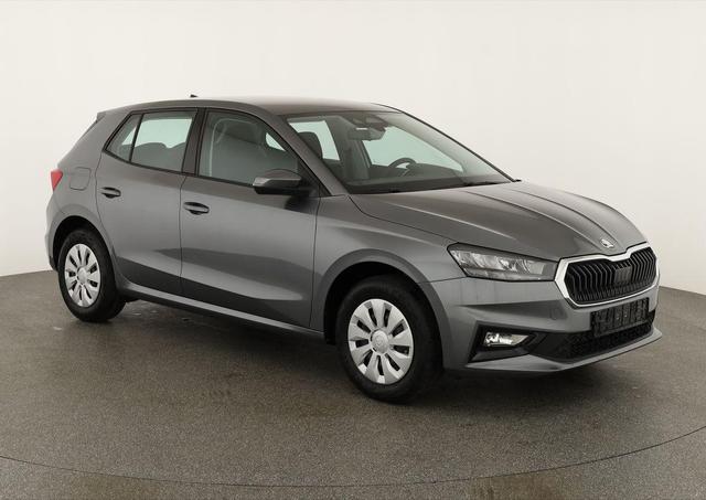 Skoda Fabia Selection 1.0 TSI Selection, Park, Winterpaket, SmartLink, 4 J.-Garantie 