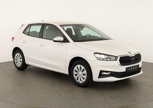 Skoda Fabia Selection 1.0 TSI Selection, Ladeboden, Park, Winterpaket, SmartLink, 4 J.-Garantie 