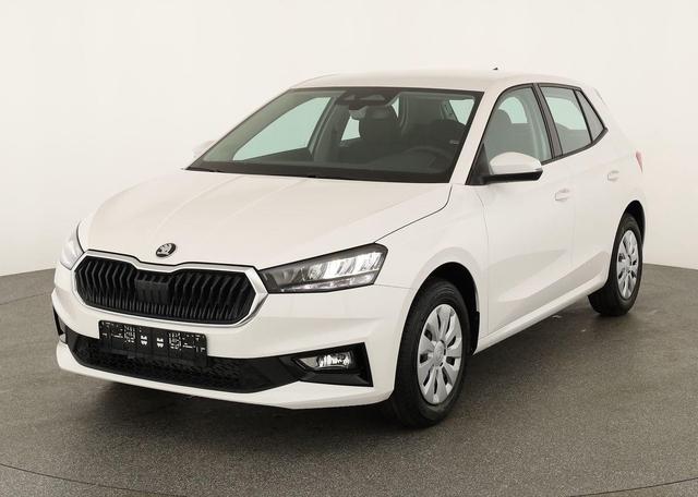 Skoda Fabia - Selection 1.0 TSI Selection, Tempomat, Park, Winterpaket, SmartLink, 4 J.-Garantie