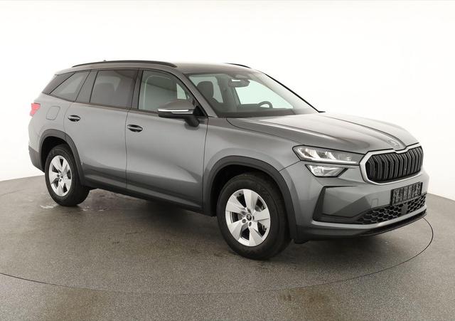 Skoda Kodiaq 2.0 TDI 110 kW Selection DSG Selection, AHK, Navi, Kamera, Side, Winter 