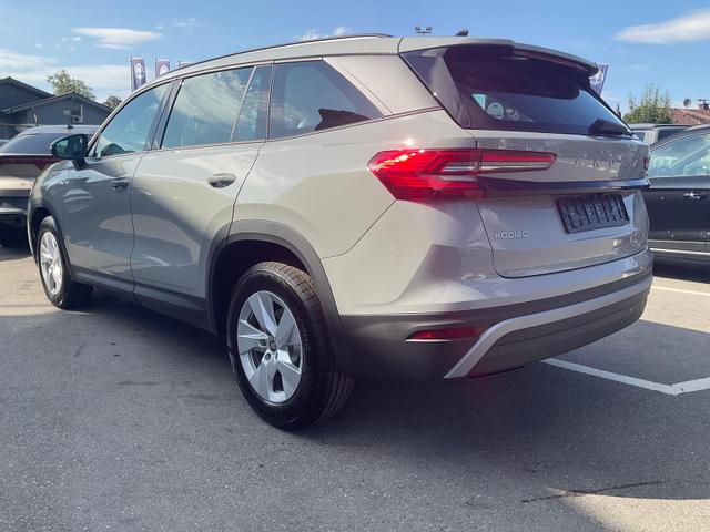 Skoda Kodiaq 2.0 TDI 110 kW Selection DSG Selection, AHK, Navi, Side, Kamera, Winter, 4 J.-Garantie 