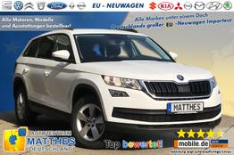 Skoda Kodiaq - Style :NAVIGATIONSFUNKTION Full LED 19"