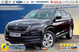 Skoda Kodiaq - AZM Style Edt.:NAVIGATIONSFUNKTION WinterPak