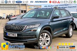 Skoda Kodiaq - Ambition :Klimaaut. Parkhilfe Kessy 18"