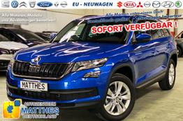 Skoda Kodiaq - AZM Style Edt.:SOFORT/ nur diese Woche / begrenzte Stückzah