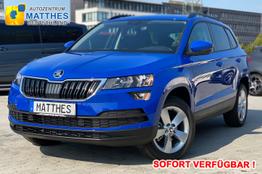 Skoda Karoq - AZM Style Edt.:SOFORT/ NAVIGATIONSFUNKTION WinterPak Kessy