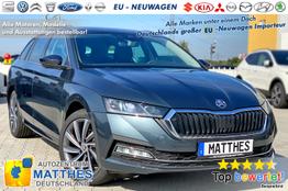 Skoda Octavia Kombi - AZM Style Edt.:NAVIGATIONSFUNKTION WinterPak