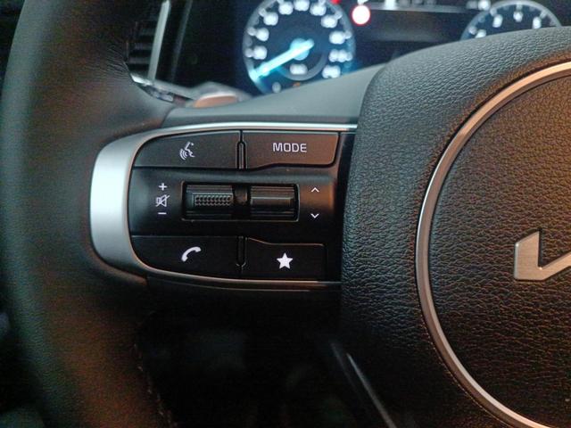 Kia Sportage Spirit AT HEV SOFORT! Navi Pano LED WinterPak E-Heck 