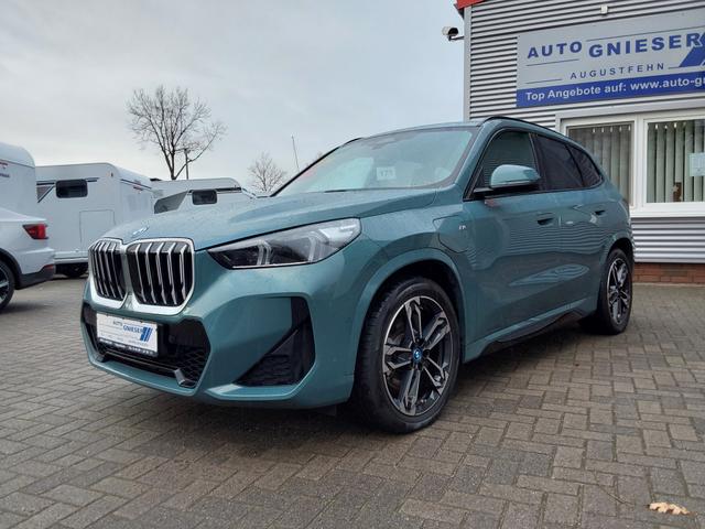 BMW X1 xDrive25e M Sport AHK/ACC/SHZ/LED/PANO/PDC/KAM 