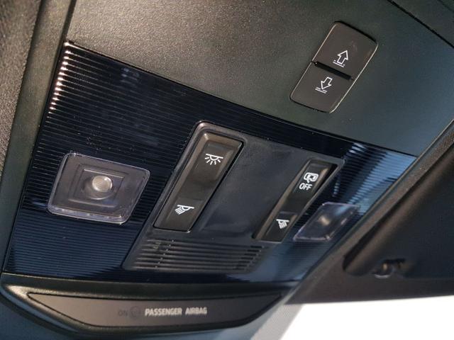 Skoda / Kamiq / Wei&szlig; / Monte Carlo AHK / / , Beispielbilder, ggf. teilweise mit Sonderausstattung