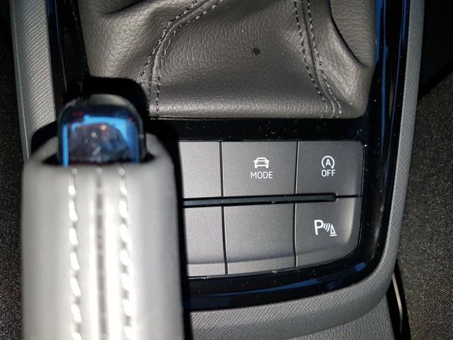 Skoda / Kamiq / Schwarz / Monte Carlo / / , Beispielbilder, ggf. teilweise mit Sonderausstattung