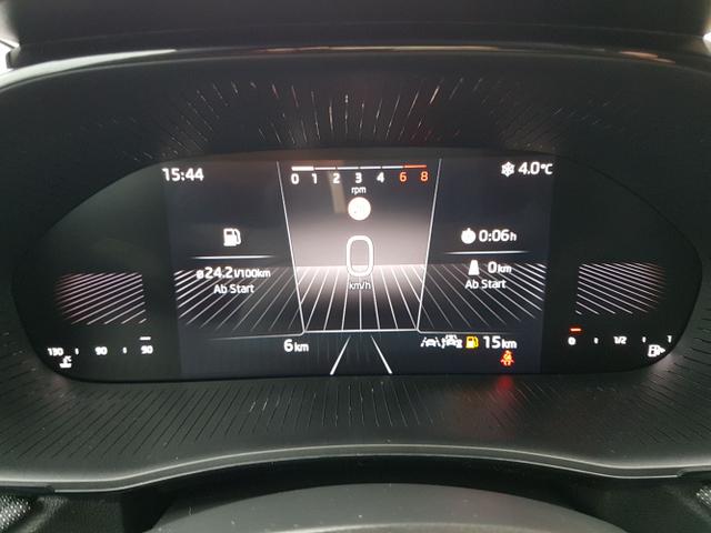 Skoda / Fabia / Grau / Selection / / , Beispielbilder, ggf. teilweise mit Sonderausstattung