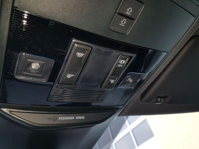 Skoda / Kamiq / Rot / Monte Carlo / / , Beispielbilder, ggf. teilweise mit Sonderausstattung