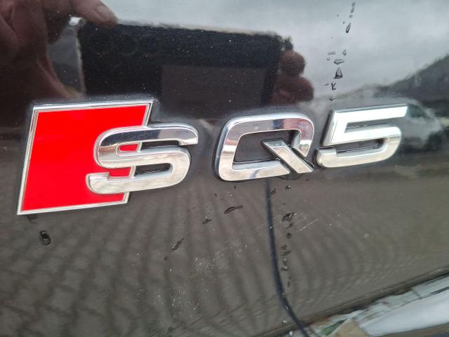 Audi / SQ5 / / / / 