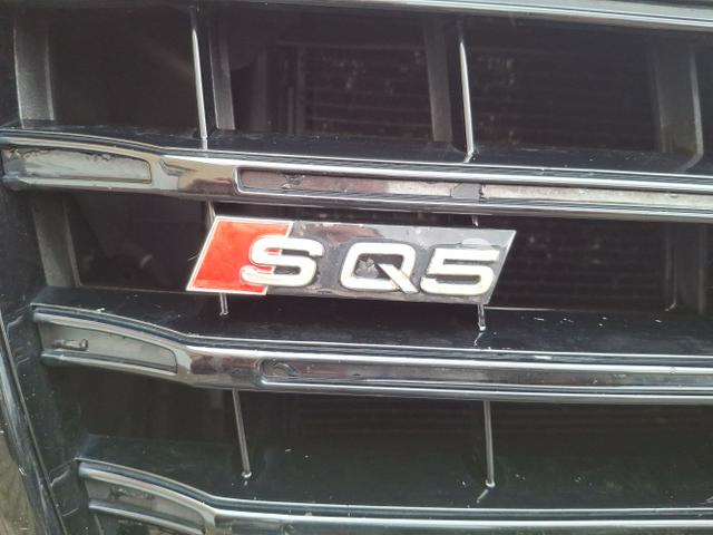 Audi / SQ5 / / / / 