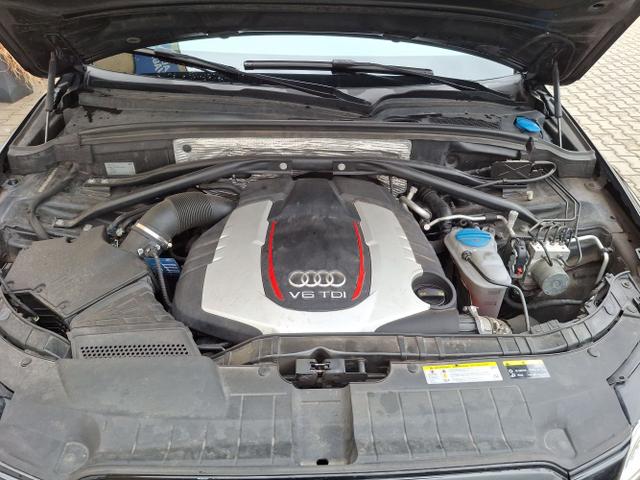 Audi / SQ5 / / / / 