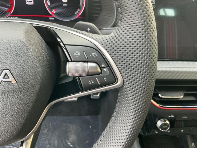 Skoda / Kamiq / Grau / Monte Carlo / Graphite Grau / , Beispielbilder, ggf. teilweise mit Sonderausstattung