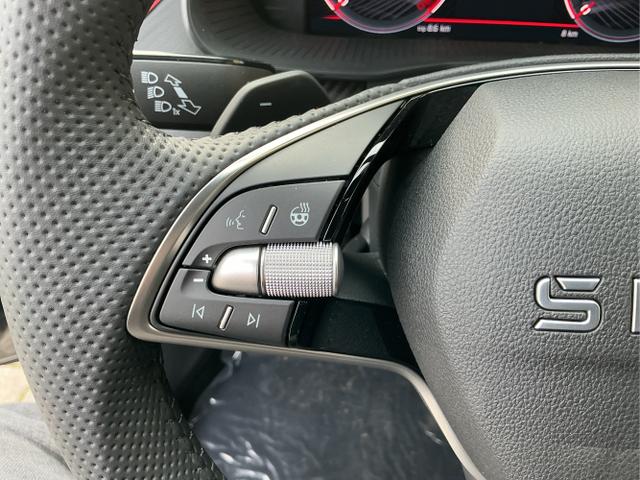 Skoda / Kamiq / Grau / Monte Carlo / Graphite Grau / , Beispielbilder, ggf. teilweise mit Sonderausstattung