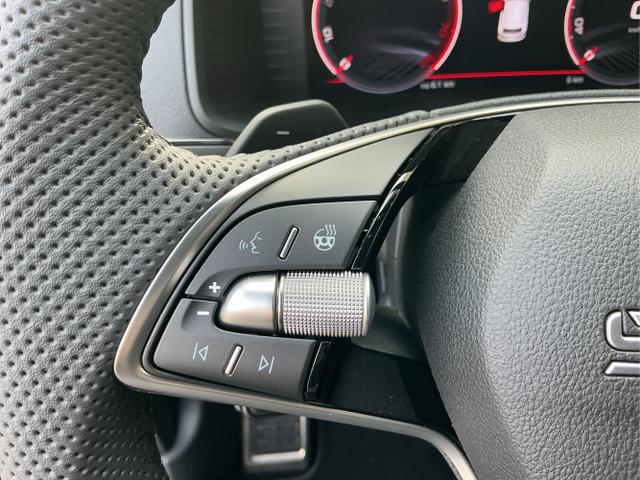 Skoda / Karoq / Grau / Sportline / Graphite Grau / , Beispielbilder, ggf. teilweise mit Sonderausstattung