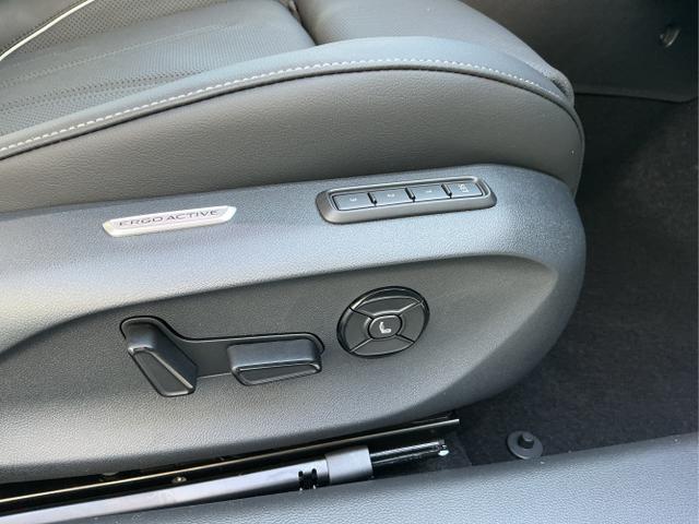 Volkswagen / Passat Variant / Grün / Elegance+AHK / Maripositgrün / , Beispielbilder, ggf. teilweise mit Sonderausstattung
