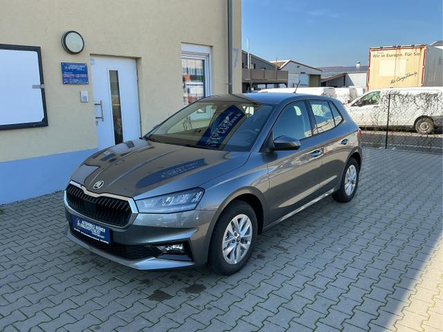 Skoda Fabia - 130 Jahre 5J. Garantie Kamera SmartLink Sitzheizg. Klima
