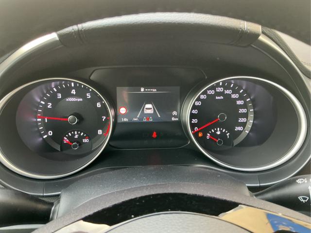 Kia / Ceed / Grau / Spin / Yucca Steel Grey / , Beispielbilder, ggf. teilweise mit Sonderausstattung