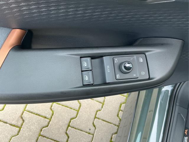 Cupra / Born / Grün / VZ / Dark-Forest Grūn / 