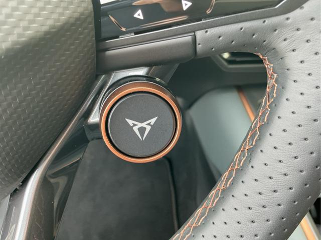 Cupra / Born / Grün / VZ / Dark-Forest Grūn / 