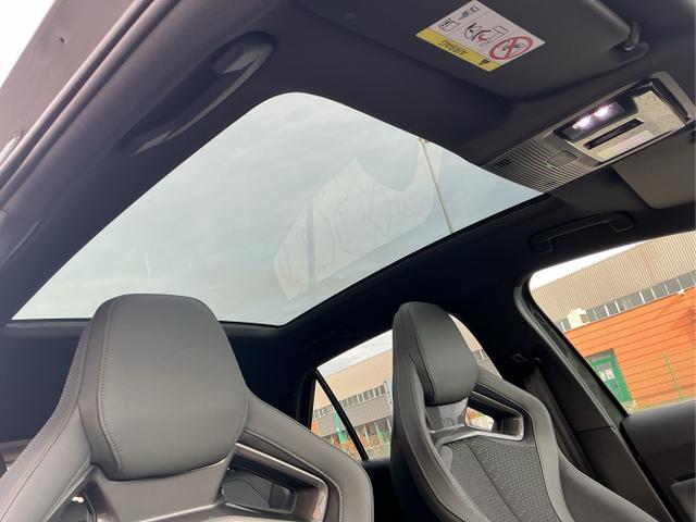 Cupra / Born / Grün / VZ / Dark-Forest Grūn / 