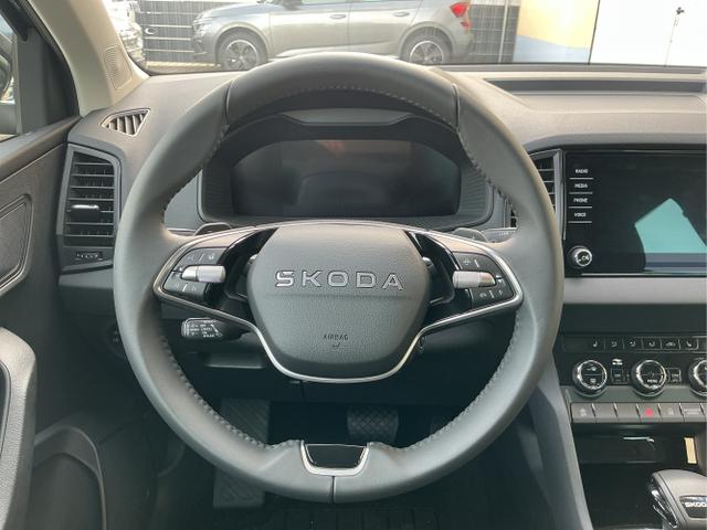 Skoda / Karoq / Schwarz / Selection / Black Magic Metalic / , Beispielbilder, ggf. teilweise mit Sonderausstattung