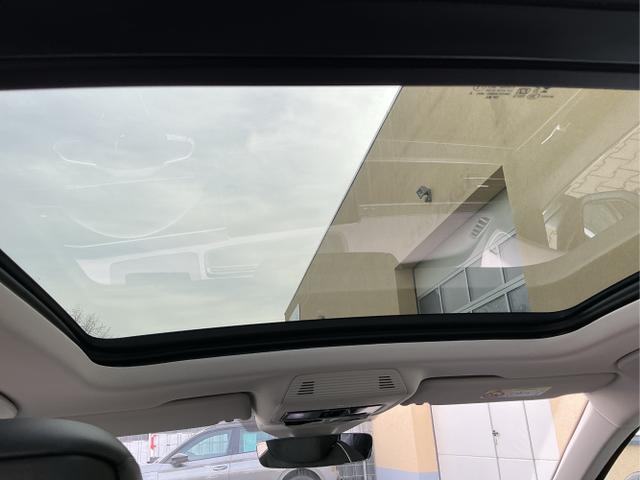 Volkswagen / Passat Variant / Schwarz / Elegance+AHK / Grenadilla Black Metalic / , Beispielbilder, ggf. teilweise mit Sonderausstattung