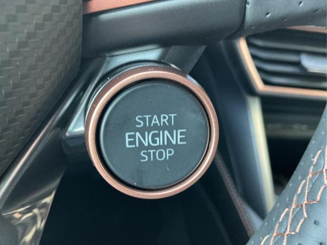 Cupra / Formentor / Grau / VZ / Magnetich Tech / , Beispielbilder, ggf. teilweise mit Sonderausstattung