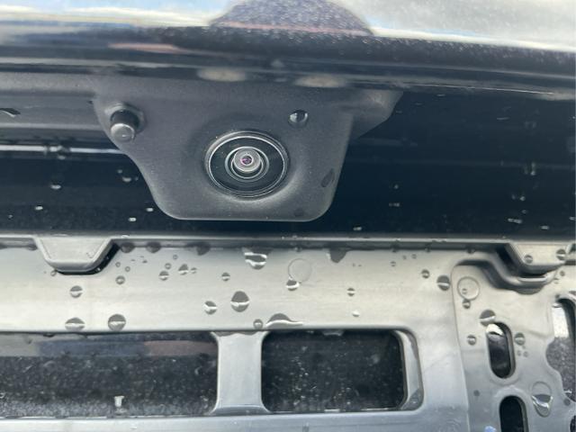 Skoda / Fabia / Schwarz / Monte Carlo / Black Magic / , Beispielbilder, ggf. teilweise mit Sonderausstattung