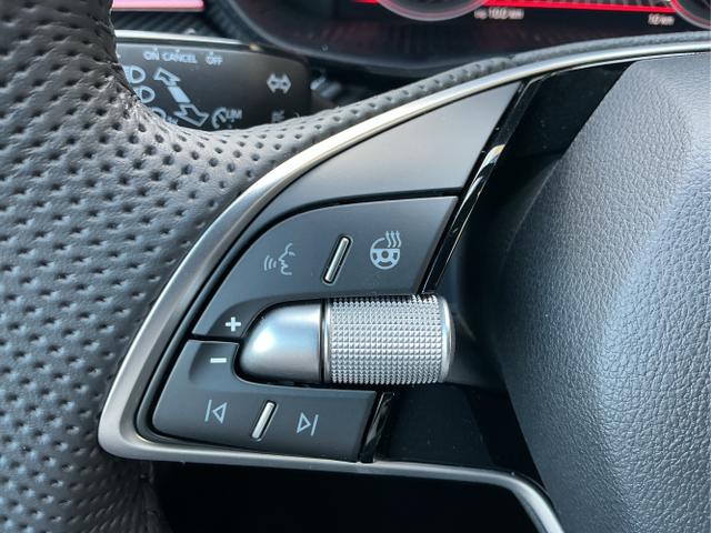 Skoda / Fabia / Grau / Monte Carlo / Graphite Grau/Black Magic / , Beispielbilder, ggf. teilweise mit Sonderausstattung