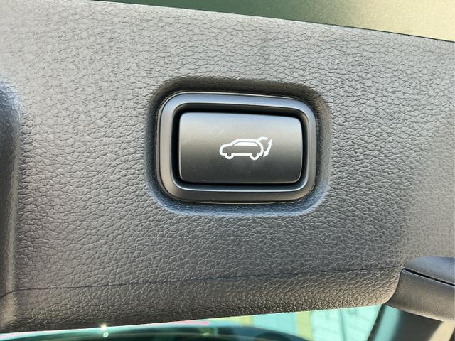 Kia / Sportage / Gr&uuml;n / Gt-Plusline / Experince Green / , Bild dient zur Illustration und zeigt aufpreispflichtige Sonderausstattung. "Die Herstellergarantie beginnt bei EU-Fahrzeugen bereits bei Auslieferung vom ausl&auml;ndischen Lieferanten und kann um mehr als 14 Tage verk&uuml;rzt sein.