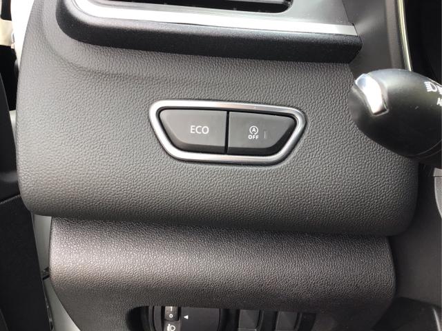 Renault / Kadjar / Wei&szlig; / / / Intens AHK Navi Klima