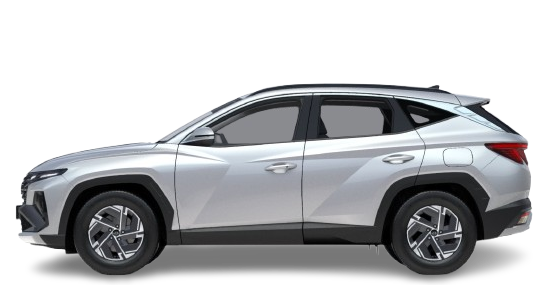 Hyundai TUCSON - N Line ACC Bi-LED Klima 19"LM