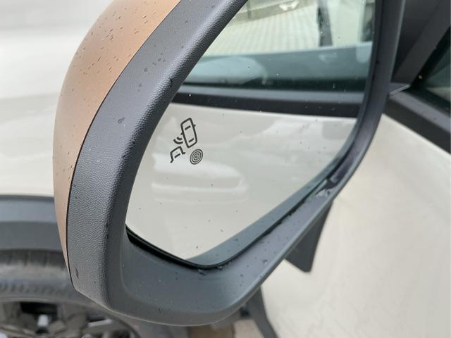 Dacia / Duster / Beige / Extreme / Sandstone Beige / , Beispielbilder, ggf. teilweise mit Sonderausstattung