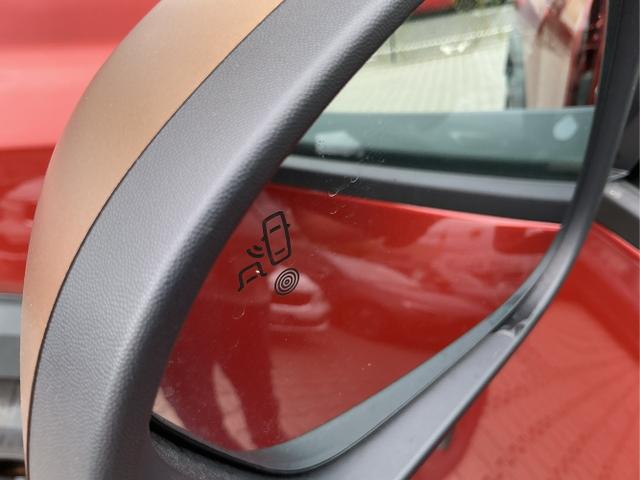 Dacia / Duster / Braun / Extreme / Terracota Brown CNZ / , Beispielbilder, ggf. teilweise mit Sonderausstattung