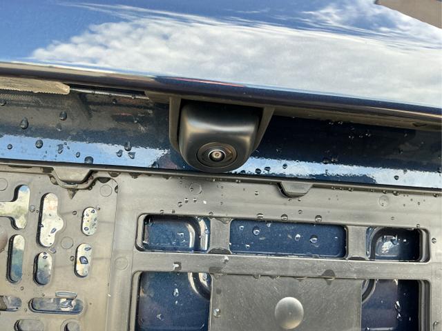Hyundai / i30 / Blau / Go / Salley blue / , Beispielbilder, ggf. teilweise mit Sonderausstattung