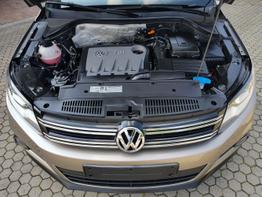 Volkswagen / Tiguan /  /  /  / 