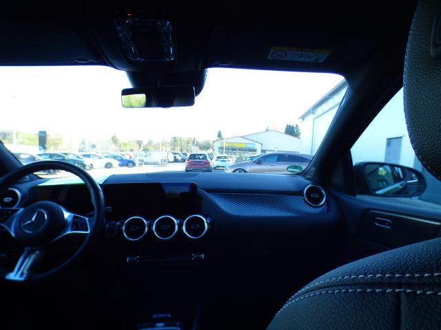 Mercedes-Benz B-Klasse B 250 4M 8 