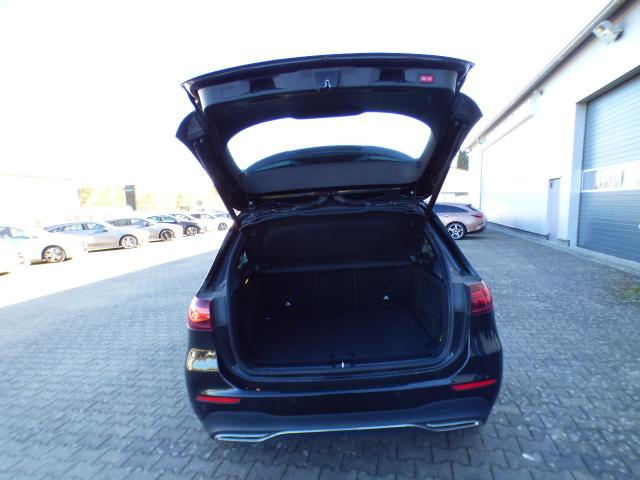 Mercedes-Benz B-Klasse B 250 4M 8 