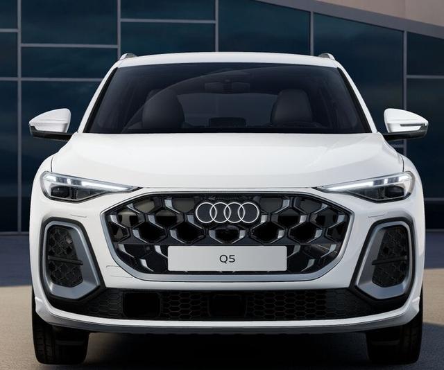 Audi Q5 Basis *LAGERND* 