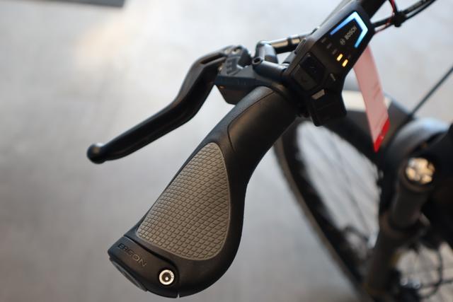 Riese & M&uuml;ller Charger4 GT touring * 49 cm petrol matt 