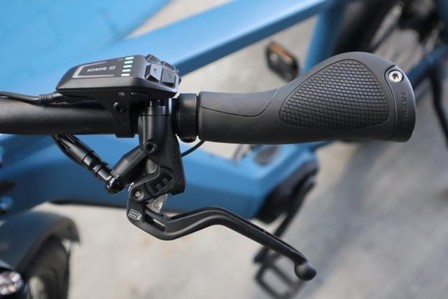 Riese & M&uuml;ller Charger4 GT vario, 53 cm, petrol matt 