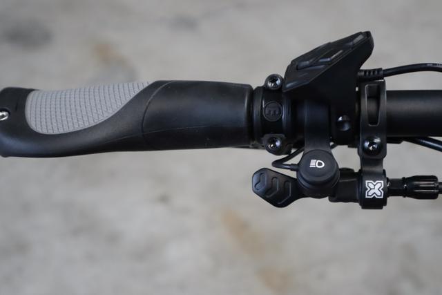 Riese & M&uuml;ller Delite GT vario, 56 cm, chili matt 