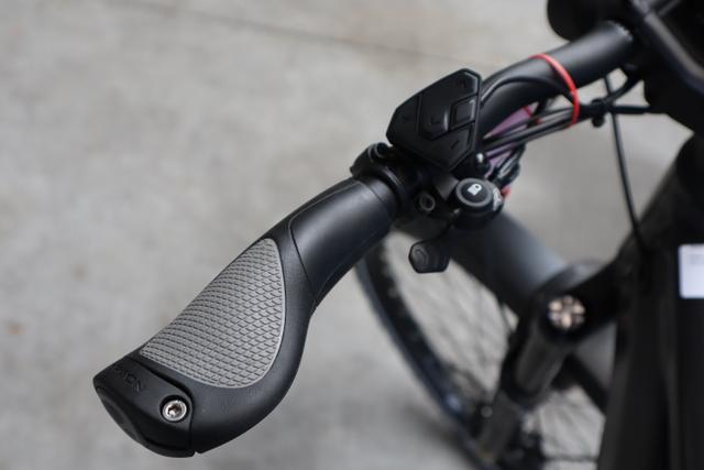 Riese & M&uuml;ller Delite GT touring, 51 cm, urban grey matt 