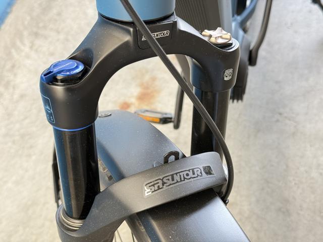 Riese & M&uuml;ller Charger4 GT touring * 46 cm petrol matt 